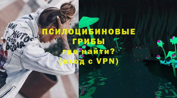 PSILOCYBIN Шадринск